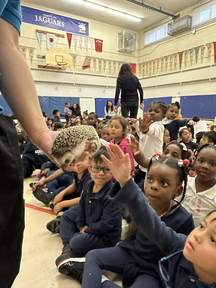 Mlle. Bianchi tweet media