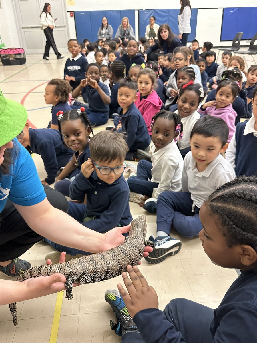 Mlle. Bianchi tweet media