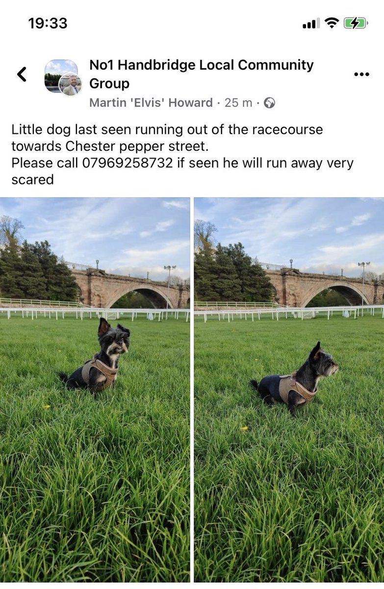 Help Find ‘Me’ - Chester tweet media