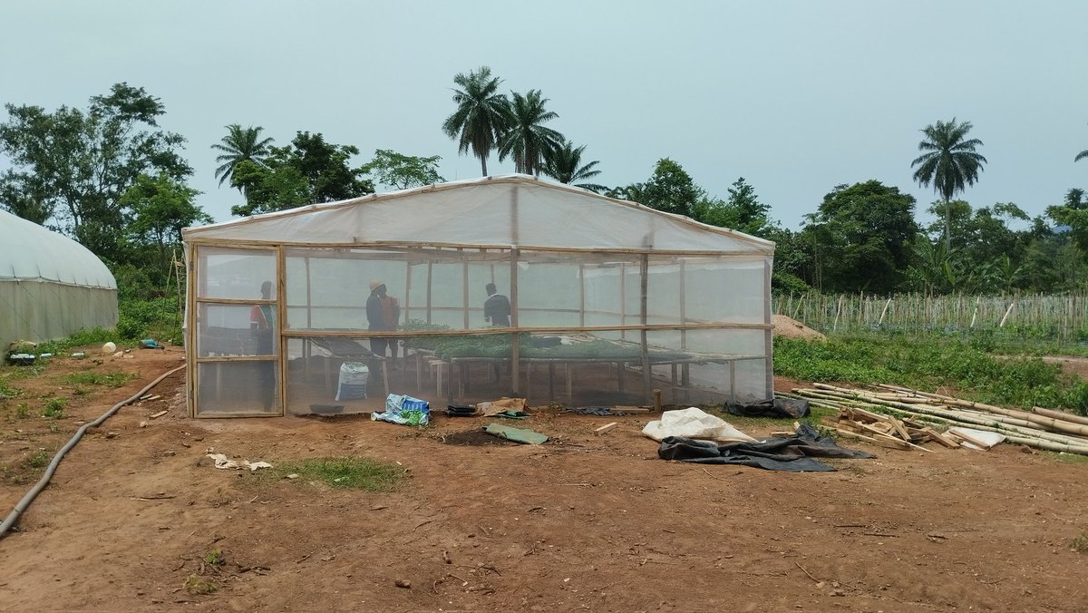 Wooden greenhouse constructed with UV net for nursery purpose.
Dimension  8M X 7.5M 
.
.
.
#smartfarming 
#naijafarmers 
@Nig_Farmer
@akinwale_cfi