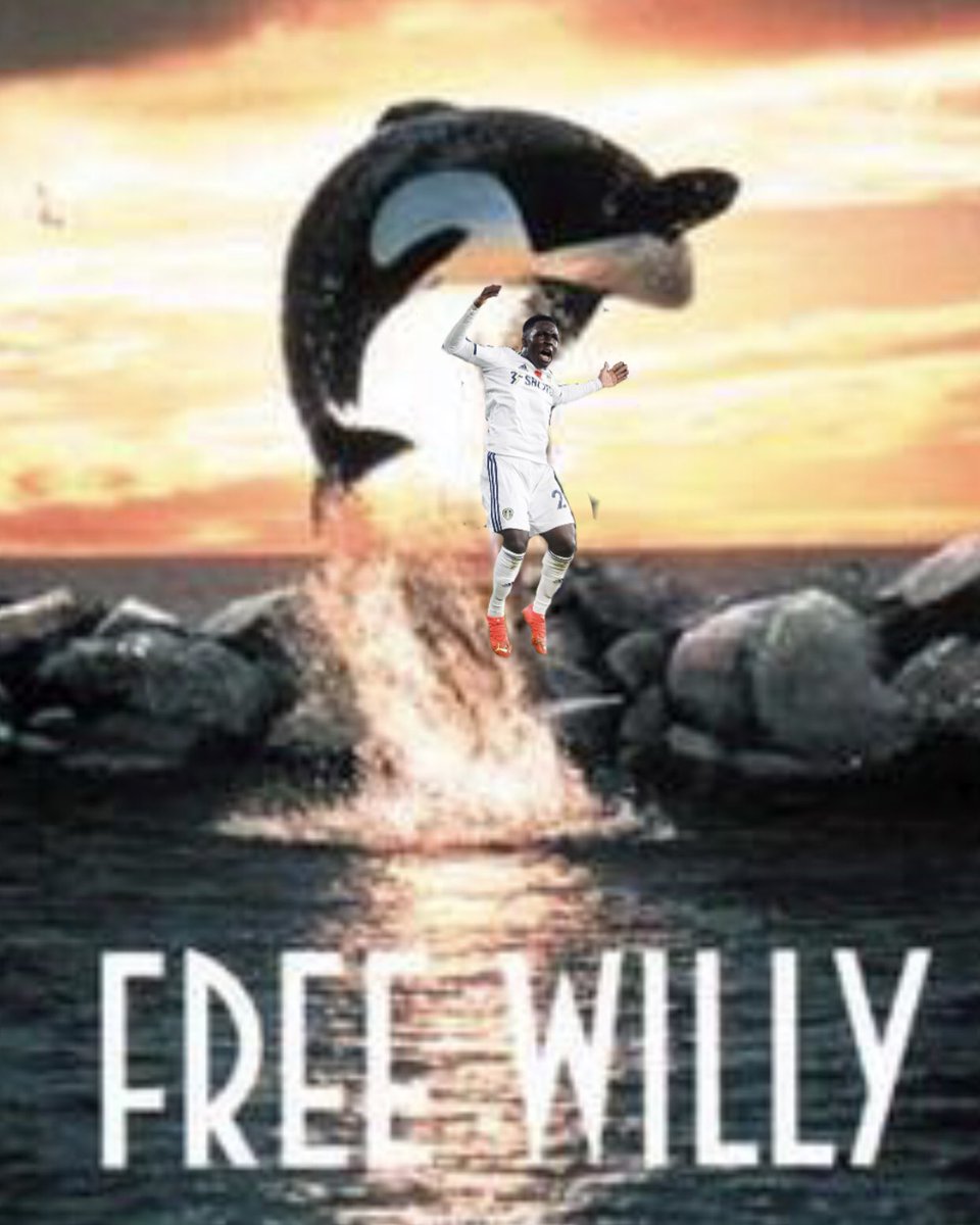 #FreeWilly 
#LeedsUnited