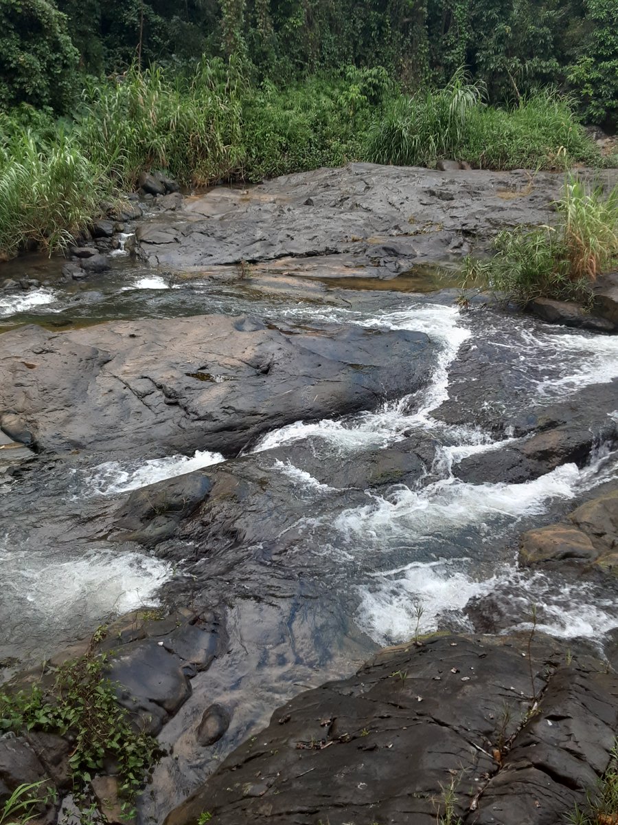 Rural Development PR on Twitter "Whether you need to build, expand, or