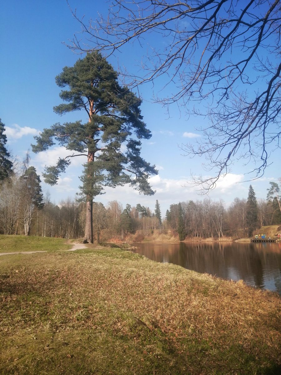 Beautiful day
youtube.com/@victoriaart99
Instagram.com/photosnature_v… and t.me/cutecatsanddog

#NaturePhotography #nature #NaturalBeauty #naturalist #naturelovers #SpringIsComing #photography #photo #picoftheday #Peace #Earth #LIVE #lifestyle #life #beautiful #Travel #adventure #art