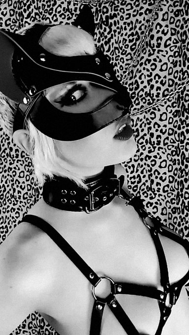 🐈🖤⛓️😈 https://t.co/eh51Q8L9ks