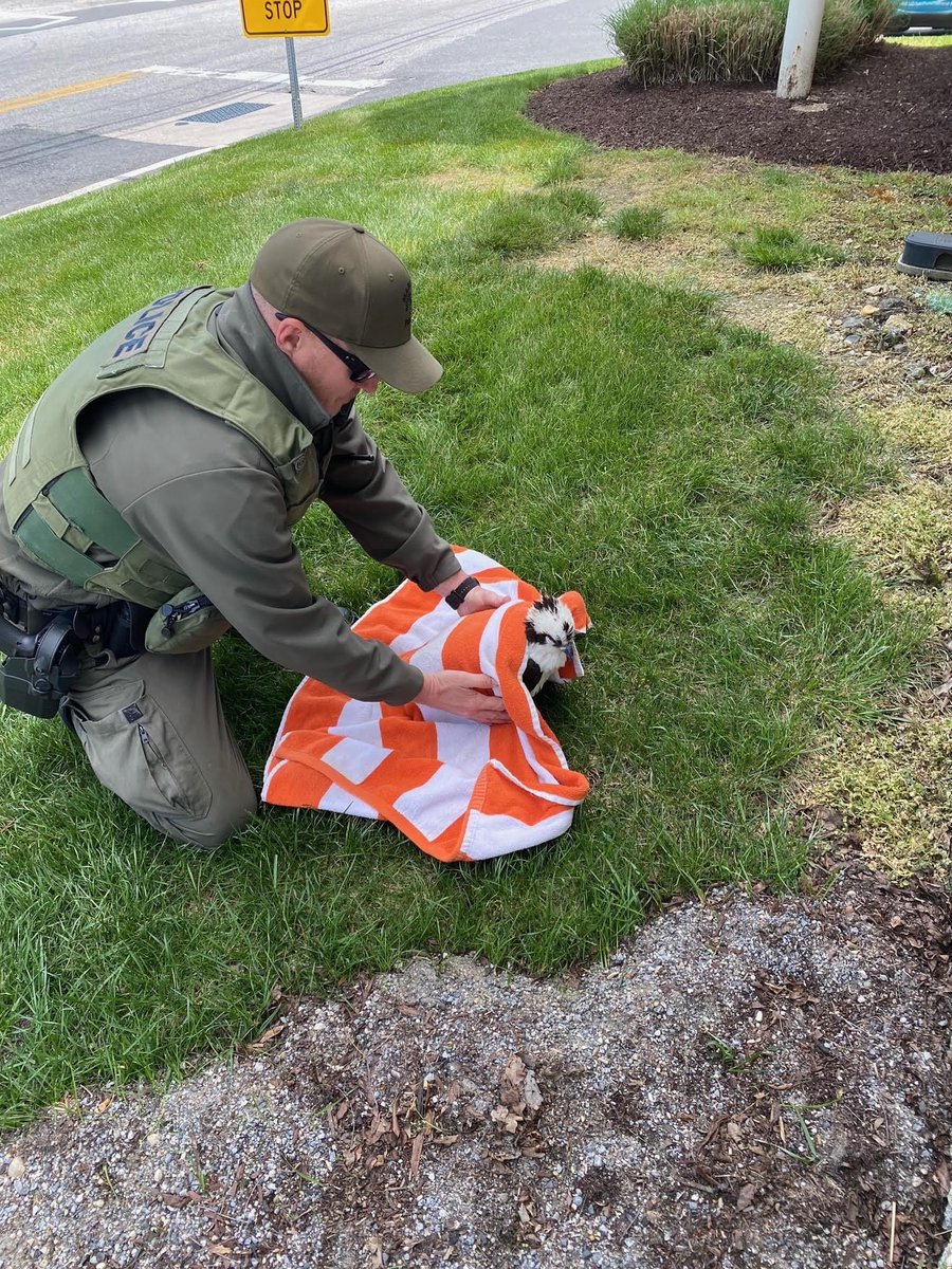 Maryland NRP on Twitter "Yesterday, Corporal Brian Hunt responded to