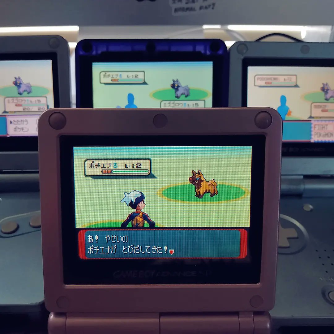 ShiningDanny1's tweet photo. 3rd shiny Poochyena of this hunt after 10,136 SR's... 😭💔✨ 4th uncatchable over all, this sucks!! I'm 100% adding a master ball to these files for if I get a 4th deal with it! ✨
#shinypokemon #uncatchable #shinypooch #uncatchablepooch #poochyena #pokemon #shinyfail https://t.co/WhHob3YD4S