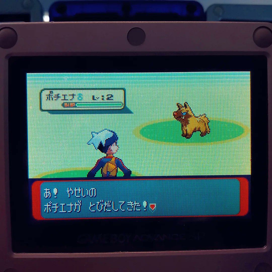 ShiningDanny1's tweet photo. 3rd shiny Poochyena of this hunt after 10,136 SR's... 😭💔✨ 4th uncatchable over all, this sucks!! I'm 100% adding a master ball to these files for if I get a 4th deal with it! ✨
#shinypokemon #uncatchable #shinypooch #uncatchablepooch #poochyena #pokemon #shinyfail https://t.co/WhHob3YD4S