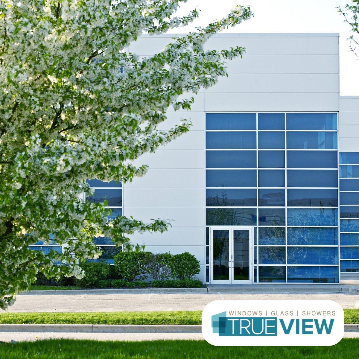TrueViewGlass's tweet photo. Is your business looking to replace commercial windows in the near future? Check out our latest commercial blog so you can make sure to keep these key considerations in mind.

Read here: https://t.co/gdREUgZurE https://t.co/0Pkfjelbc5