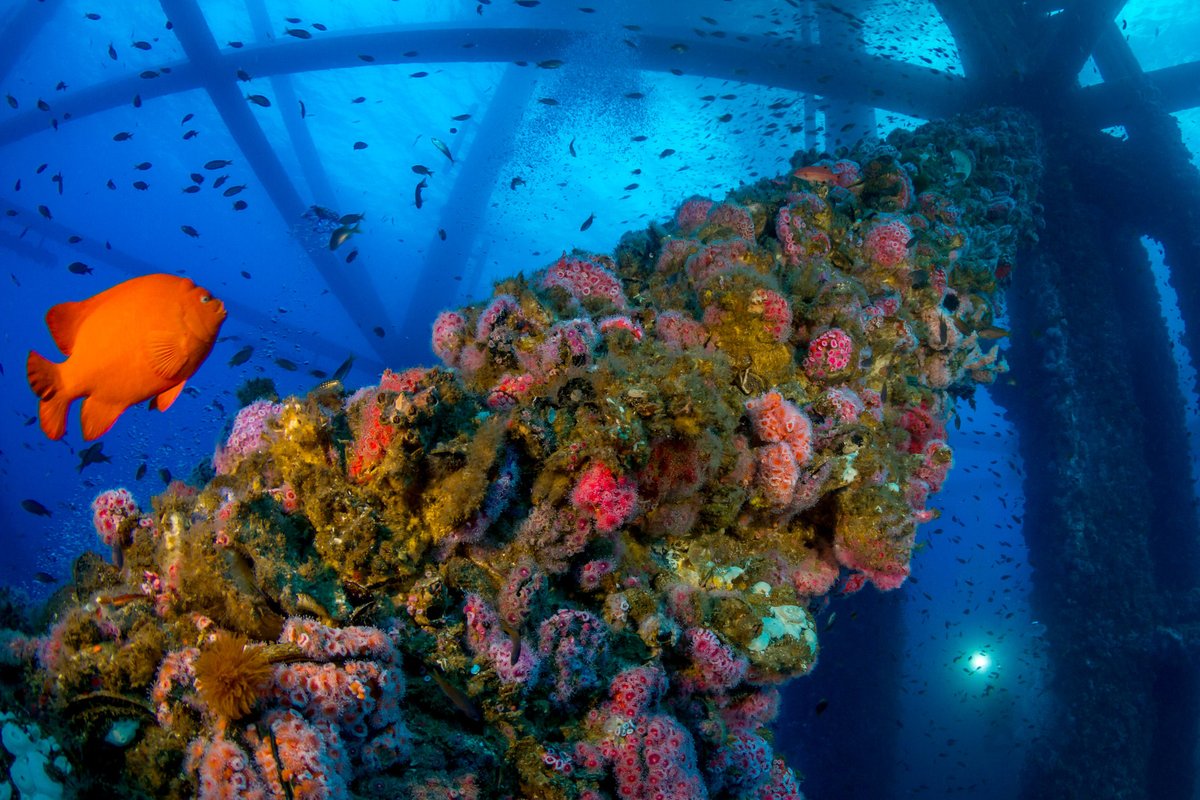 ________ tweet media