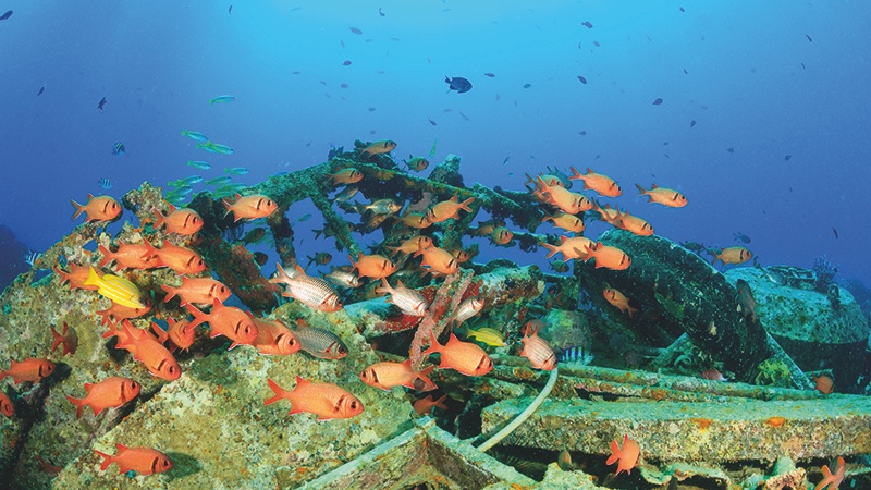 ________ tweet media