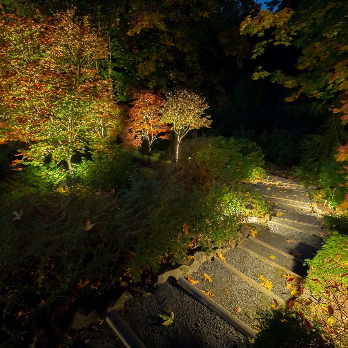 WA_OutdoorLight's tweet image. Before and after lighting the stairs and landscape. 

#landscapelighting #outdoorlighting #pathlighting