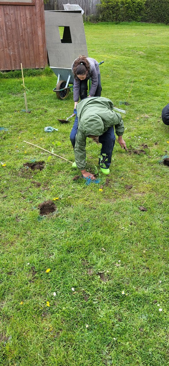 Let the tree planting commence 🌲🌳 Thank you @WoodlandTrust for our tree saplings. The children have really enjoyed being part of this project and having a positive impact on protecting our environment 👏
