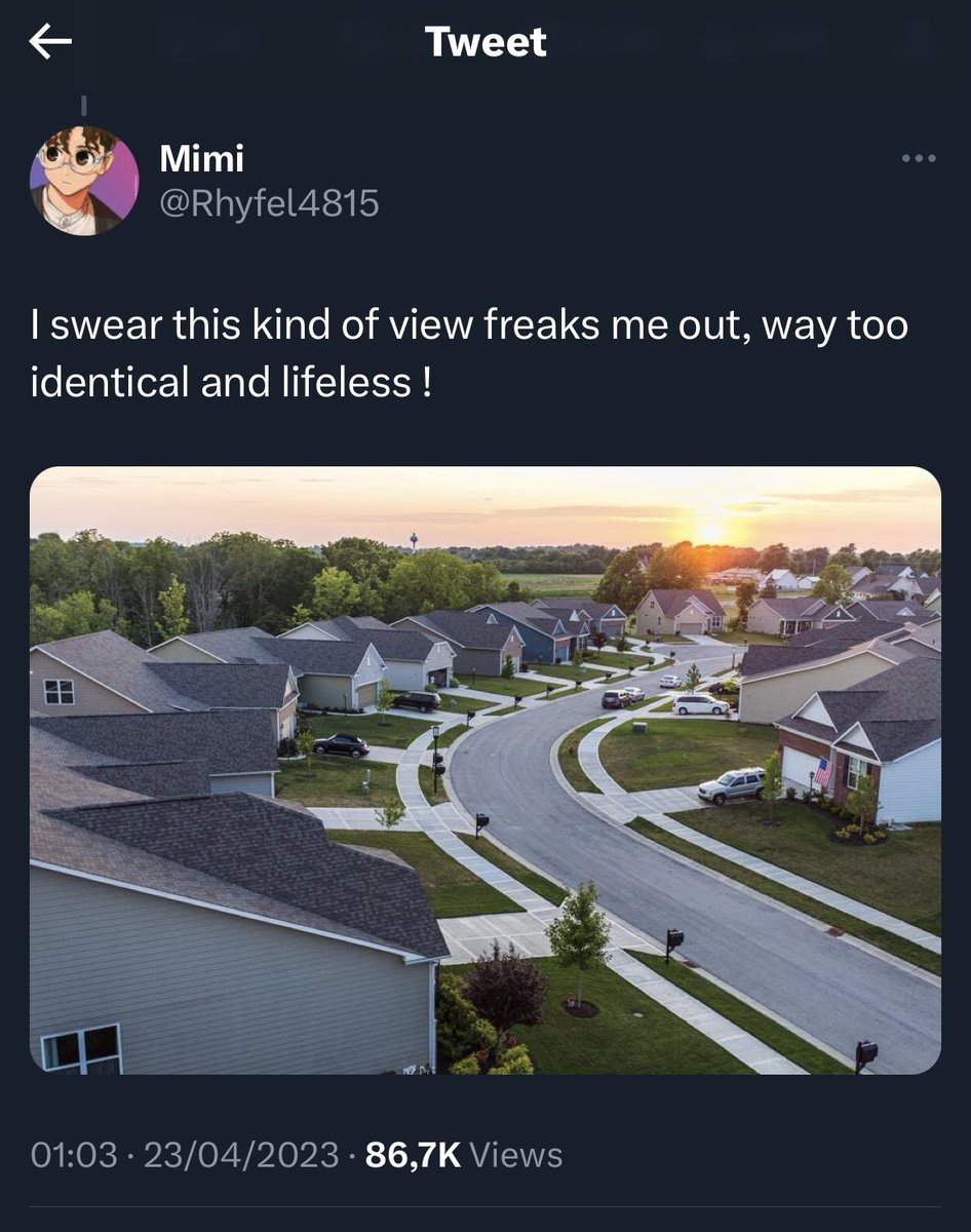 “Where is the diversity? Where is the gang crime? Where are the homeless tents? Where are the used needles? Where is the human shit on the sidewalk? Oh, a nice neighbourhood, the horror!”