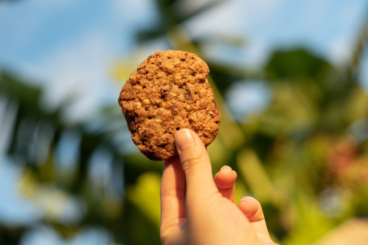 uglycookieshi's tweet image. Cookies are a hug in a bite.

Order now!
uglycookieshawaii.com
-

#freshcookies #cookier #fortunecookie #cookiehouse #bakecookies #bakeiteatit #cookieinbaking 
#hawaiianfood #hawaiiancookies #bigislandhawaii #hawaiiantaste #bigislandofhawaii #bigislandfood #oahuhawaii #hawaii
