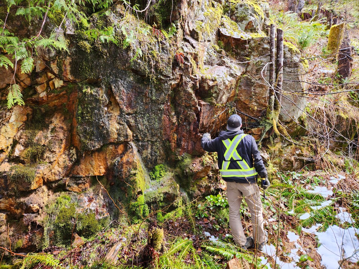 Kermode_KLM's tweet photo. Sampling mineralized outcrop at the Loup Creek Property.
#prospecting #mining #geochemical #sampling #rocks #minerals #gold #copper #pyrite #chalcopyrite #kermode #klm #bcmining https://t.co/zELbXWtH5D