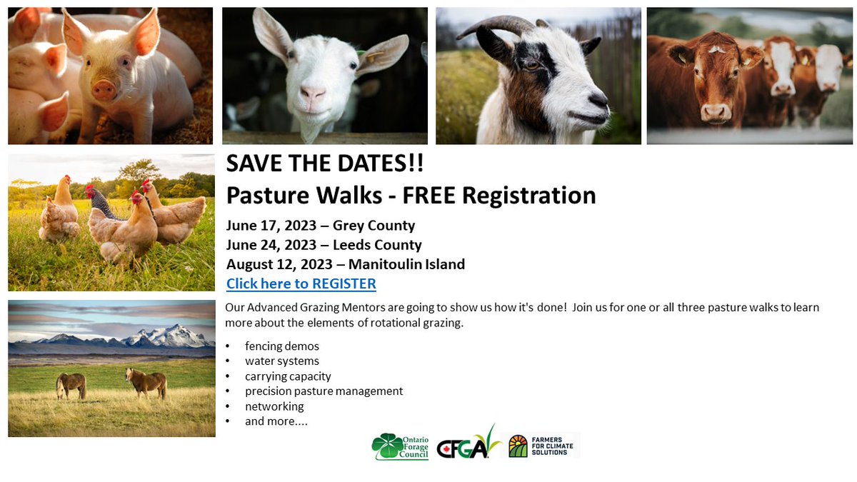 #SaveTheDate #Pasture walks in #Grey #Leeds and #Manitoulin! Register now to join our #grazing mentors on guided tours to learn more about #rotationalgrazing! <a href="/CFGA_ACPF/">CFGA_ACPF</a> Don't miss this great opportunity, register now: events.eventzilla.net/e/rotational-g… <a href="/cobercow/">Cobercow Hay and Cattle</a> <a href="/sb_sheep/">Anita O'Brien</a>