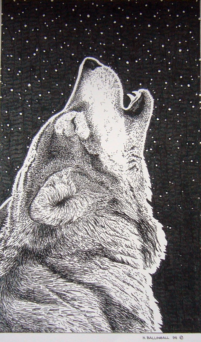 TheRedFisher1's tweet photo. 'Talking to the North Star'
 By H.A Ballingall

I still have a few of the limited signed printing of these from my late fathers collection.
 We are asking $100.00 cdn for these prints. https://t.co/mz1X1zSk9I