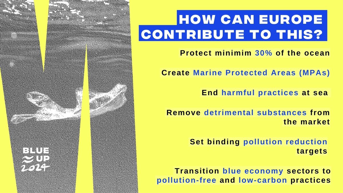 surfridereurope's tweet photo. [BIODIVERSITY IS KEY FOR #OCEAN &amp; #CLIMATE 🔑 ] It's time to take action with ambitious and binding European measures to protect #biodiversity. Join us in protecting the ocean by supporting us here 👉 https://t.co/VrQHIFQKLQ #ProtectMarineLife #SustainableOcean #BlueUp24 🌍 https://t.co/EQQEcCQlRW