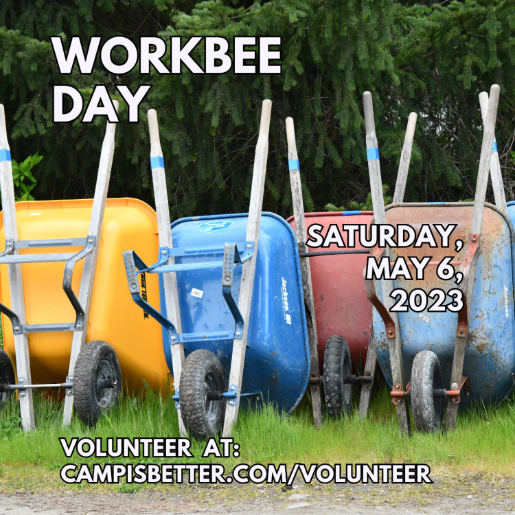 Pearce Williams Summer Camp tweet media