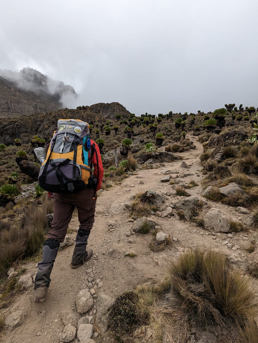 I may not have gone where I intended to go, but I think I've ended up where I intended to be‼️
This is #Mountkenyanationalpark
Come explore and be in awe of it's beauty 🏔️
Call; +254796597208
Email; info@spikytours.com
#mtkenya #mountkenya #kenya #explore #mountains