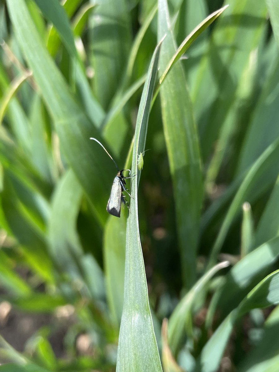 Mathew Barnes tweet media