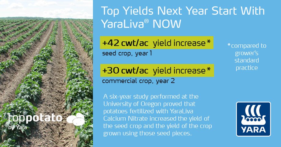 TopPotato Yara Canada tweet media