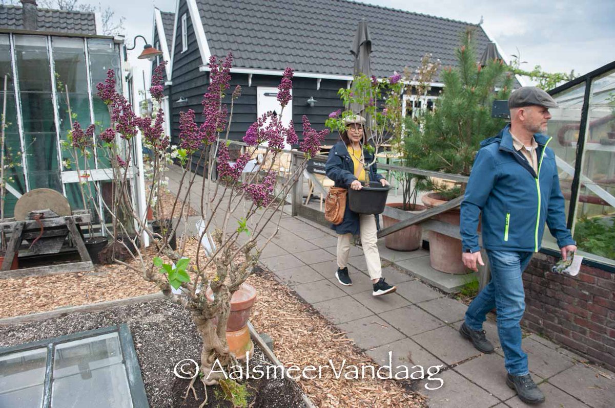 AalsmeerVandaa's tweet photo. Alles #seringen wat de klok slaat. #Aalsmeers beroemdste bloem op vele manieren in het zonnetje gezet. https://t.co/bZNiDAOXUa https://t.co/5HPU0yYBvt