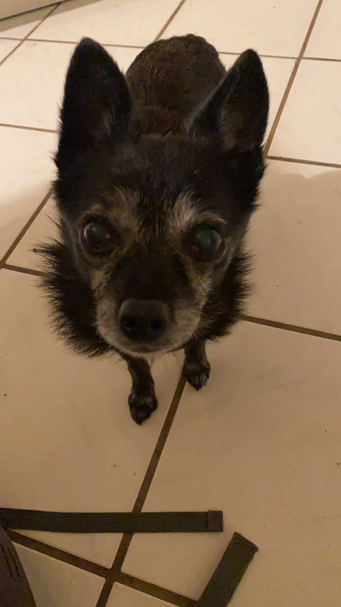 Heike Rundnagel tweet media