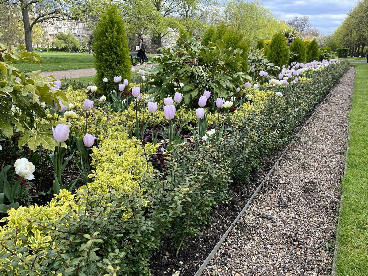 CWparkman's tweet photo. Managed to squeeze 5 minutes to nip into The Regents Park to see the #spring displays. Looks great 👍 @theroyalparks @TRPGuild7 @WUParks @GreenFlagAward #loveparks #worldparksweek 🌷 💚 https://t.co/G9wTOowpB3