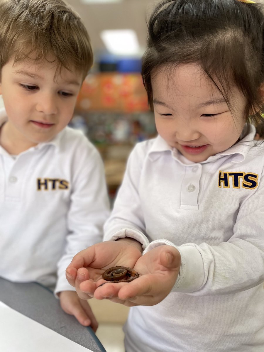 HTS_Kindies's tweet photo. Ask us about our #worminquiry and meet our new classmates!🪱🔎🪱📝 #wormobservationtable #playdoughmats #partsofaworm #howtodrawaworm #wormcollectiononepic #BetterTogether❤️ @ConnieRanieri @HTSRichmondHill @epic4kids https://t.co/ck2m5FaLra