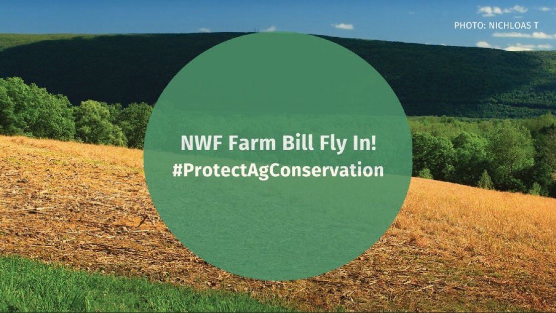 NMWildlife's tweet photo. We are in D.C this week to #protectagconservation and keep key funding in the ‘23 #FarmBill. Did you know, from 2017-2020, conservation and #wildlife funding brought more than $220M to NM?
Thanks to @SenatorLujan and @MartinHeinrich staff for meeting with us! https://t.co/LflhArVnb6