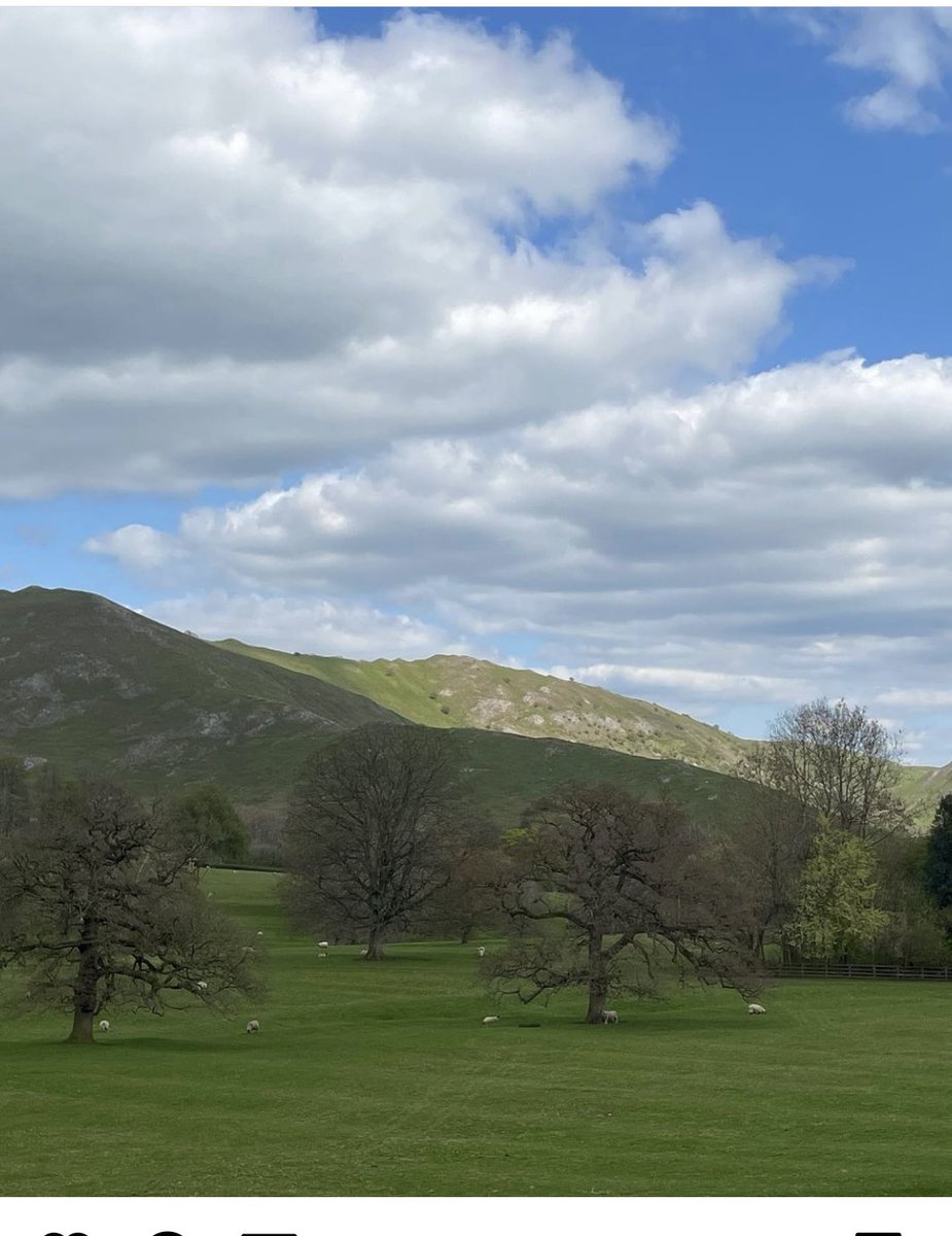 WestonFavell Primary (@wfprimary) on Twitter photo 