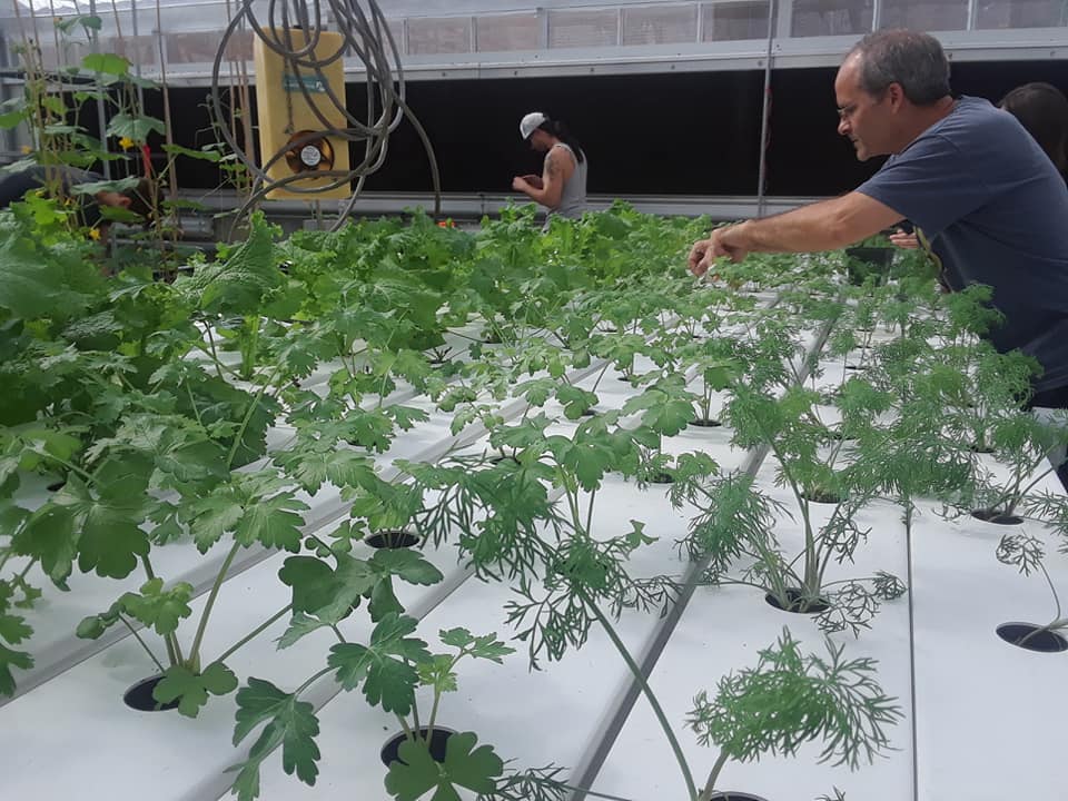 CTStateNV's tweet image. Are you interested in growing plants or sustainable living? Contact Program Coordinator, Christopher Tuccio at ctuccio@nv.edu to learn more about the Horticulture Program