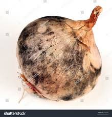 the_beardedsina's tweet image. We see this a lot but ignore it.

What is this?
What disease can it cause?

PS- 95% of people might not know this