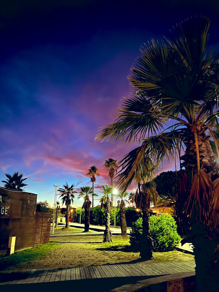 NathalieTORNEL's tweet photo. Bonsoir de #Frejus !
Un autre soir, un autre chemin ๐
La magie de la nuit sur notre merveilleuse #CotedAzurFrance !
#bonnesoiree #haveaniceevening #bynight #frenchriviera #baladesympa #reverie #dreamcometrue #douceurdusoir #amazingpic https://t.co/8LxjDini0p