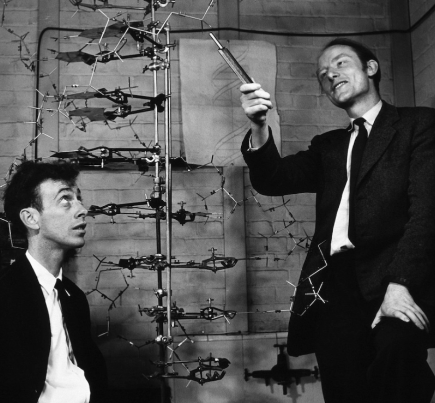 Today we are celebrating the discovery of the double helix by Watson and Crick in 1953. As a company focused on advancing scientific research and innovation, we celebrate this breakthrough as it has paved the way for new personalized medicines and targeted therapies. #synvivo