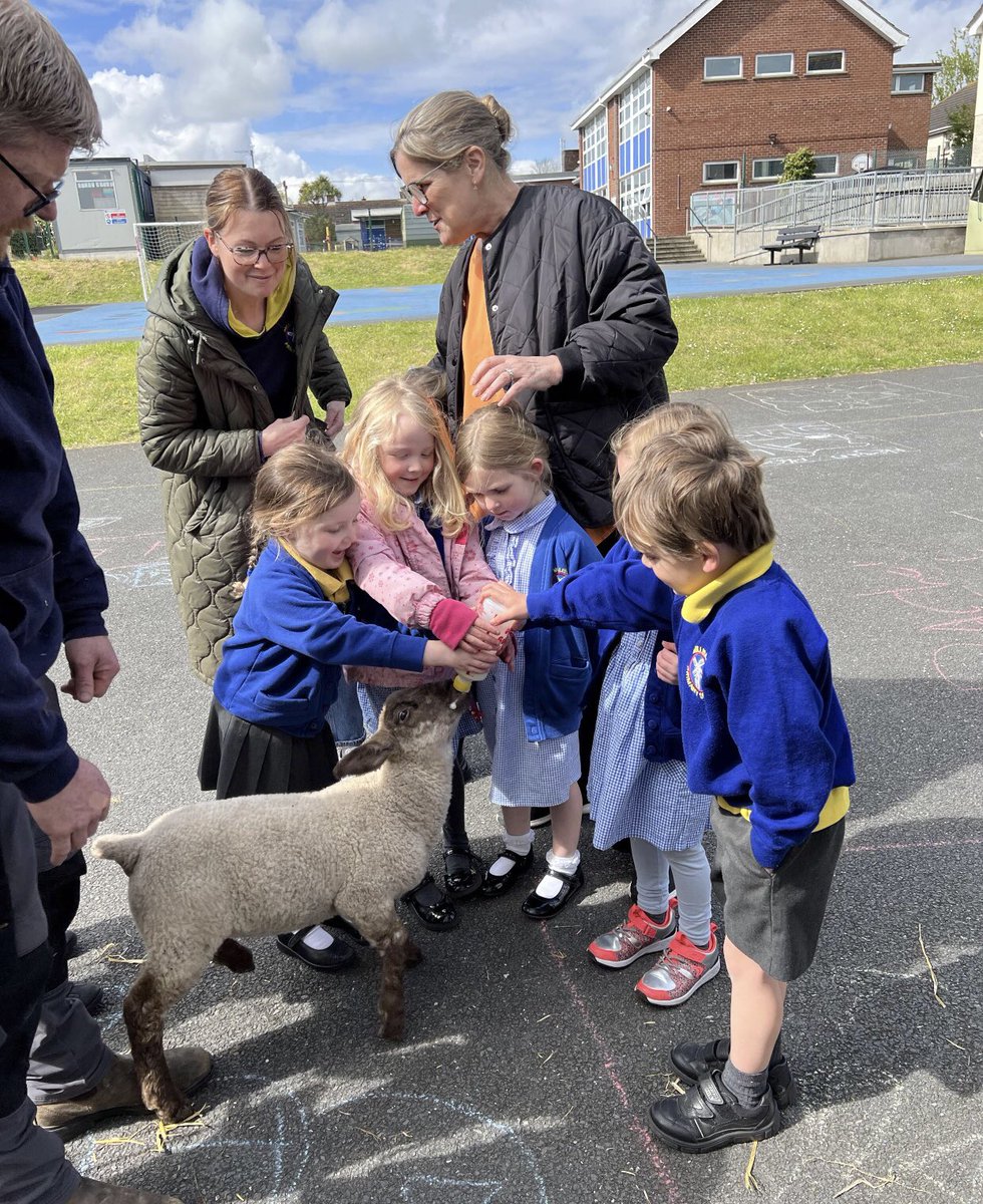 MillislePS's tweet photo. A massive thank you to @KidzFarm for an amazing hands on learning experience today for our Nursery to P3 children. Fantastic animals and warm, friendly, knowledgeable staff meant that every single pupil had a brilliant day!

🦙 🐐 🐑 🐍 🕷️ 🐇 🐀 🐢 🦆 https://t.co/t9yHyrqwDP