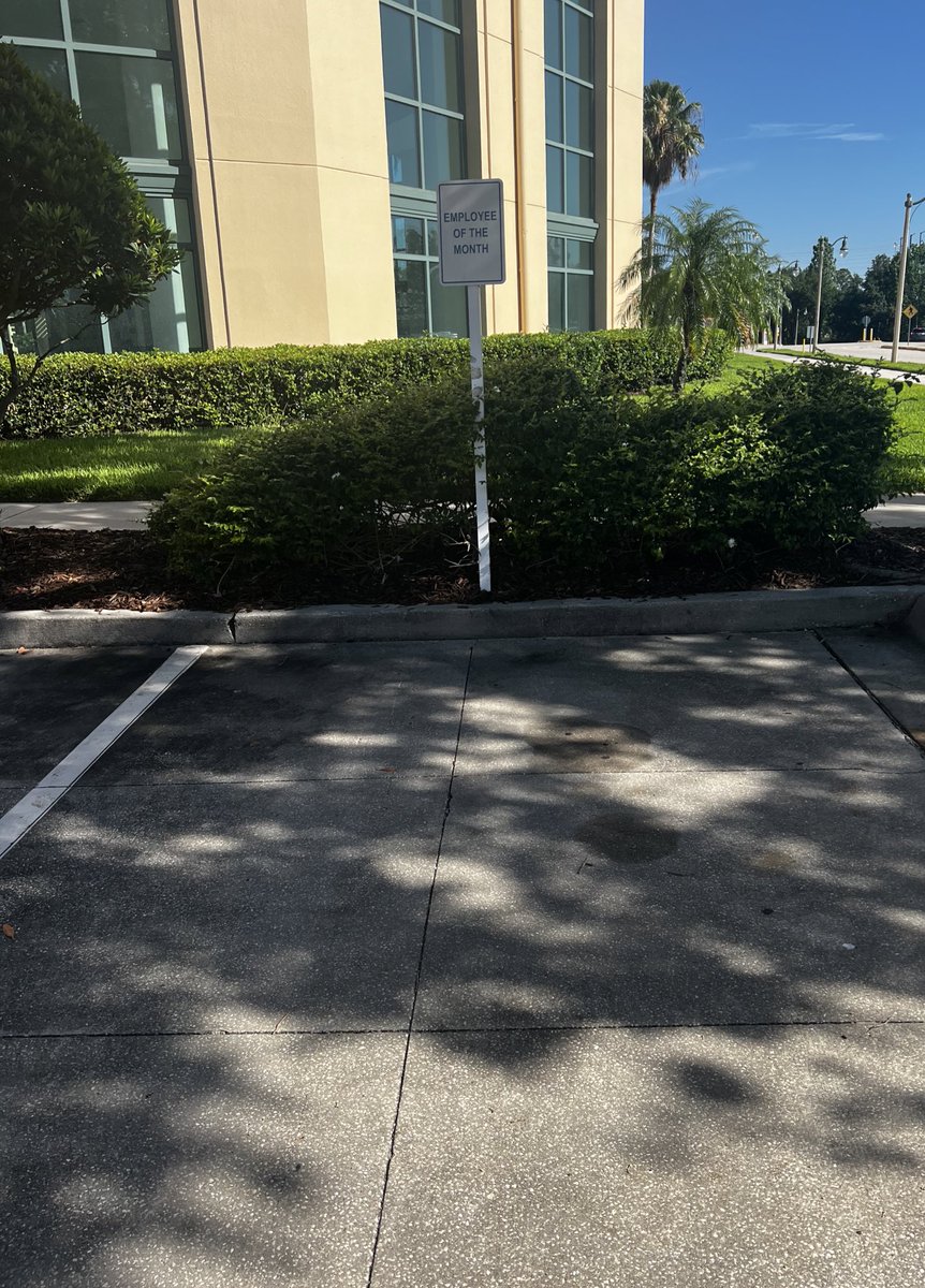 kate pryde💙 tweet media