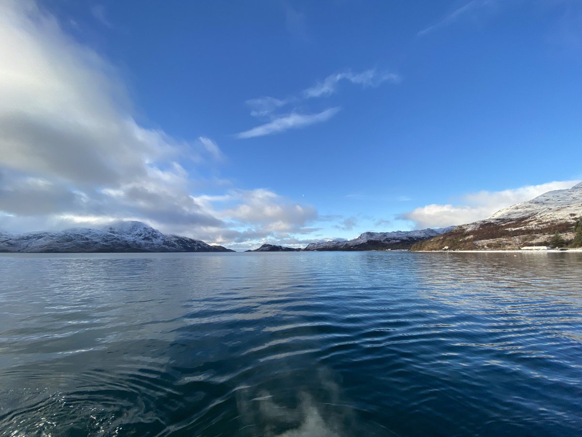 Your trip up to Knoydart would just be magical 

#magical #Travel #knoydart #knoydartrivercottage #TuesdayBlue #AdventureAwaits #ExploreMore