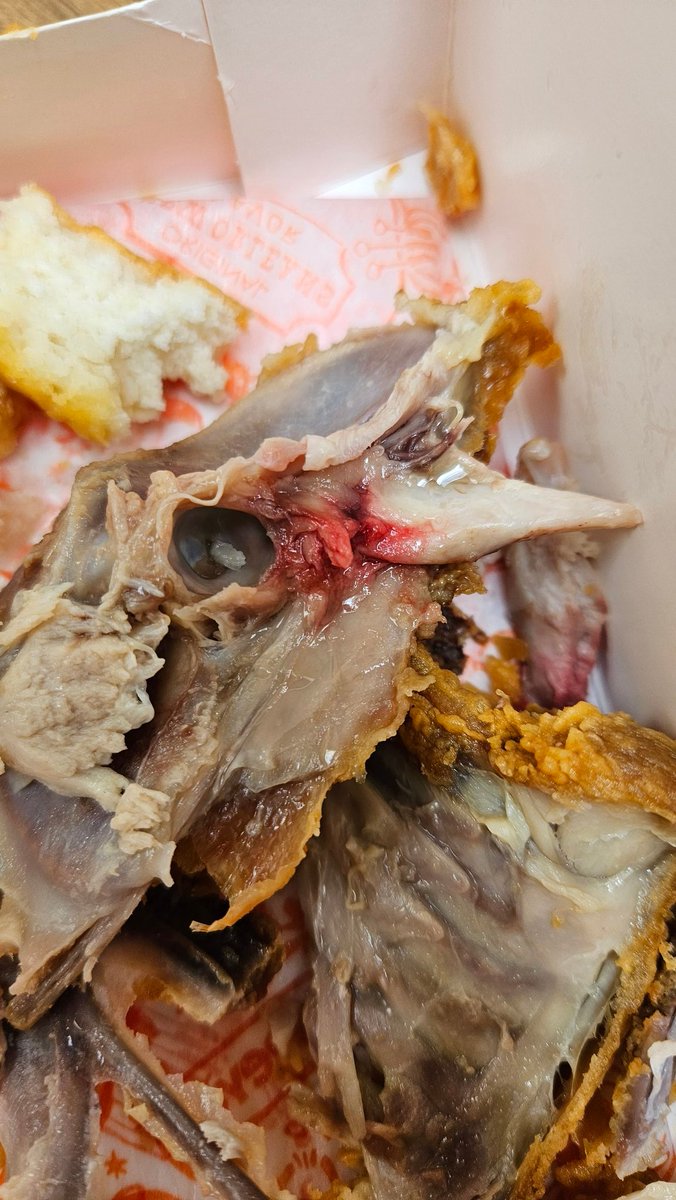 Hmblguy07's tweet photo. I'm a little disappointed @Popeyes 
I have never gotten bloody chicken in my order before.
I'm surprised it happened at a new location. Then again, Rookie cooks.

#FirstTime4Everything https://t.co/hHhkKAHKU3