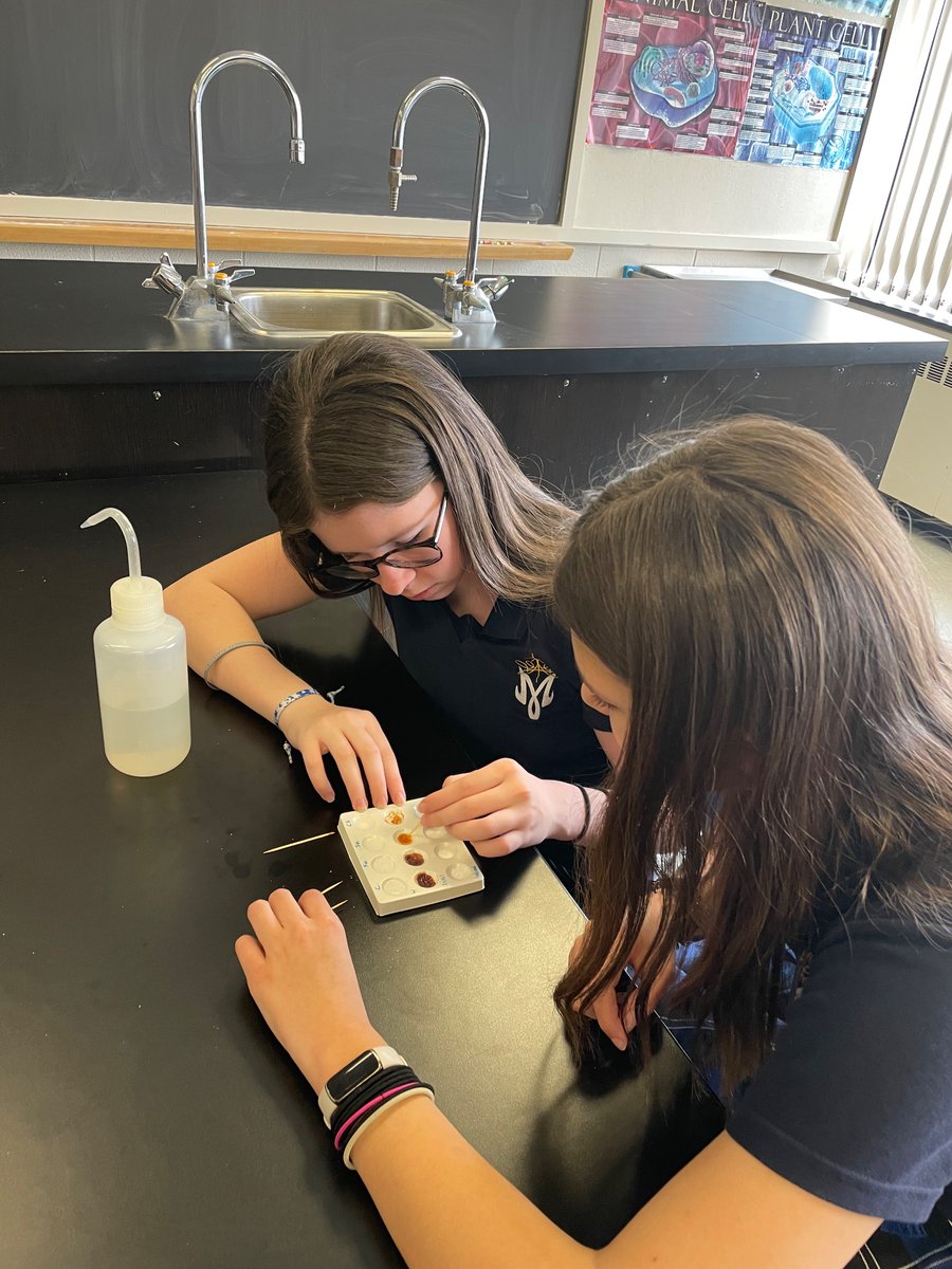 MsENicoletti's tweet photo. Forensics Science students performing a drug analysis lab! @HNMCS @MsENicoletti https://t.co/p6evIZLnqN