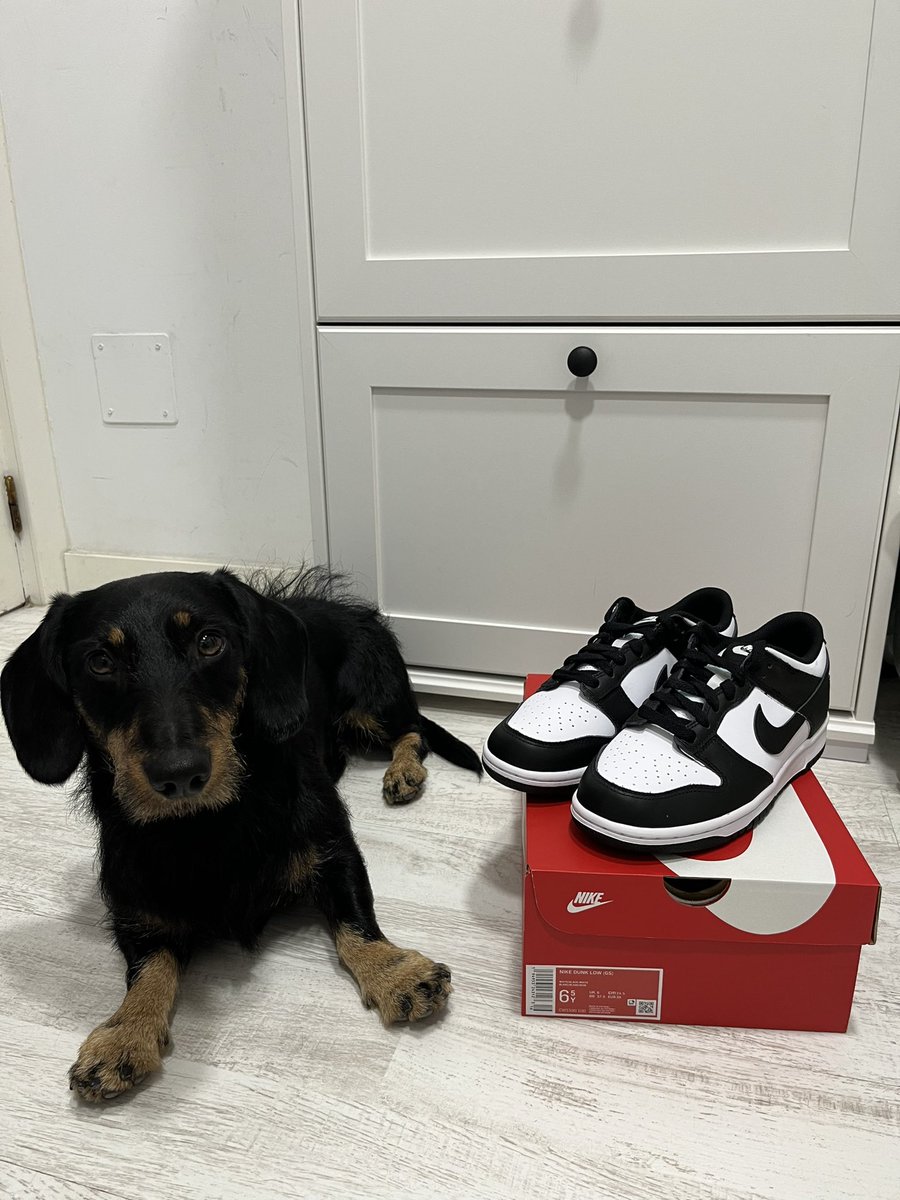 Ferferfer99's tweet photo. Fast shipping! Less than 24 hours to recive
Thanks @thezestychefs https://t.co/KGRNZKqEG8