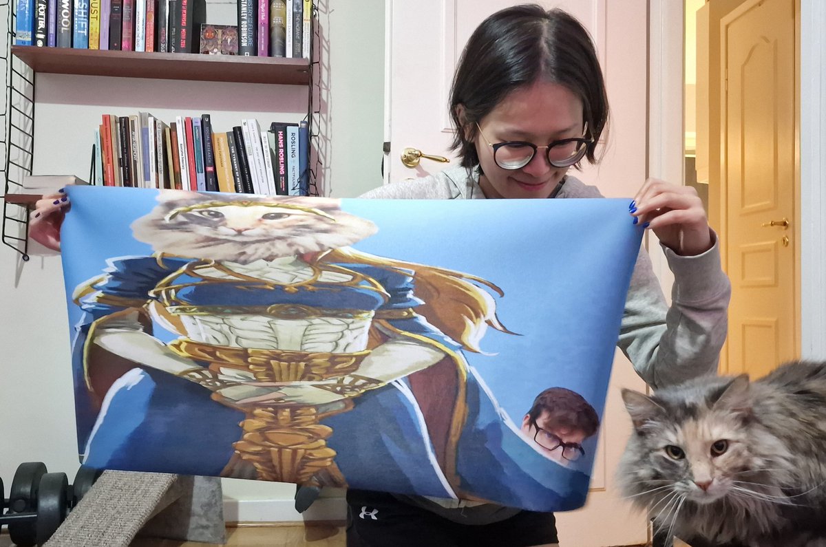 GreyCat_GG's tweet photo. My new mousepad, as voted by chat - Zelda, as Zelda. (With @SaltCannon5K on the side) https://t.co/dU2QtLAMq8