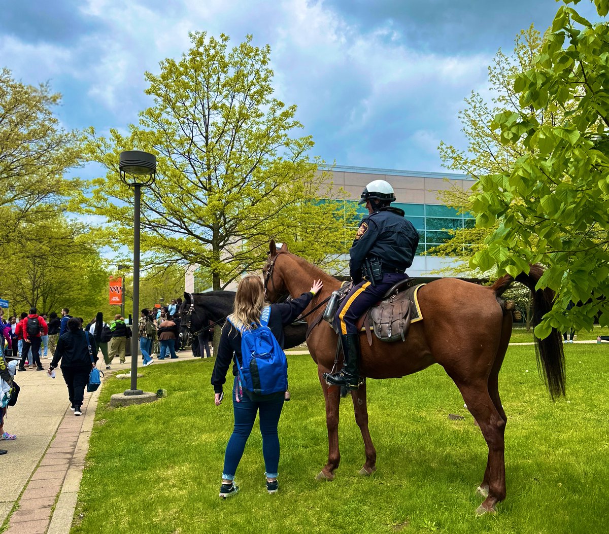 Surprise! 🧡🌼🐴🖤 #wpunj