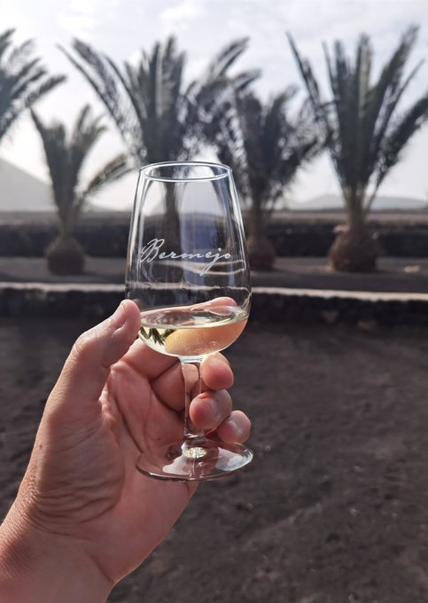 @winetourslanz @Turespana_ @TurismoLZT @vinoslanzarote @saboreaLZT @wearelotuscomms @winetourslanz showcases the best of #Lanzarote's incredible volcanic wines.
Best tour on the island. 
Come try unique wines made from malvasia volcanica, listan negro & diego grapes grown in volcanic ash.

#LoveLanzarote #VisitLanzarote 
#LanzaroteWines #LoveSpain #volcanicwine