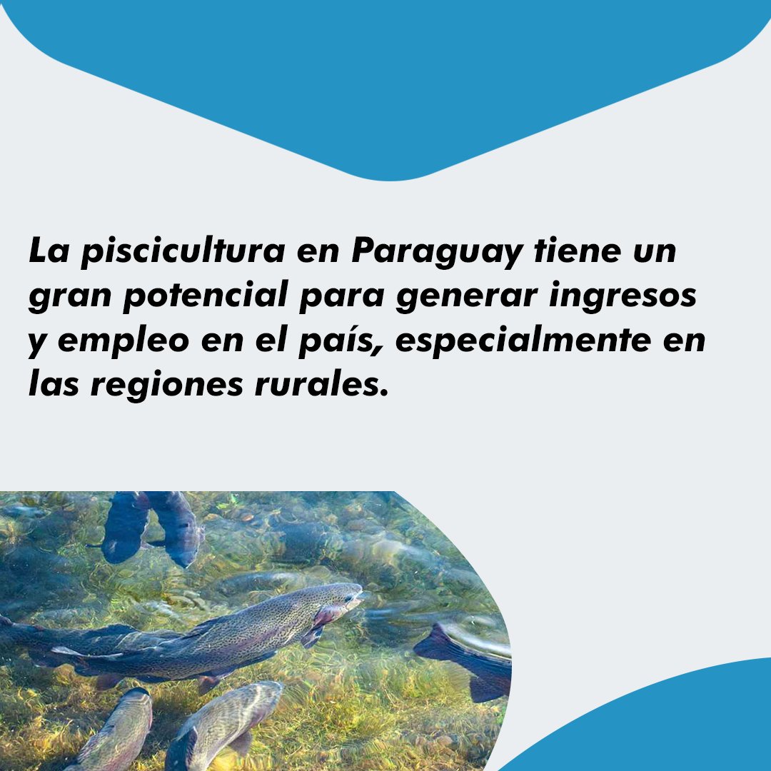 CodasHernan's tweet photo. La producción de pescado está en aumento y ofrece oportunidades para generar ingresos y empleo en las regiones rurales. ¡Aprovecha las ventajas competitivas de nuestro país y emprende en este negocio rentable! 🐟🌿
#CodasSenador #ElCambioYaLlega https://t.co/pANqUjU0nt