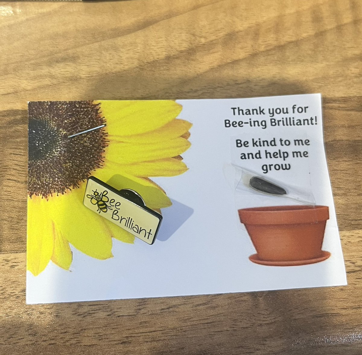 Really enjoyed the Bee Brilliant Live Event today focused on communication🐝🗣

#beebrilliant 

@amru_amu <a href="/LeanneMcEachan/">Leanne McEachan</a> <a href="/brobbin_jill/">Jill Brobbin</a> <a href="/SarahGlenny/">Sarah Glenny</a>