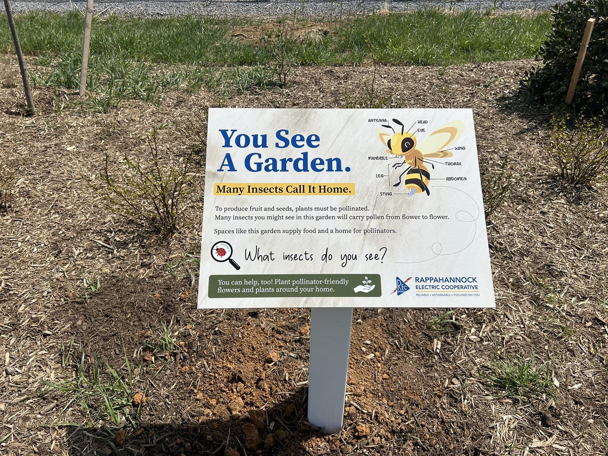 CESGoPanthers tweet media