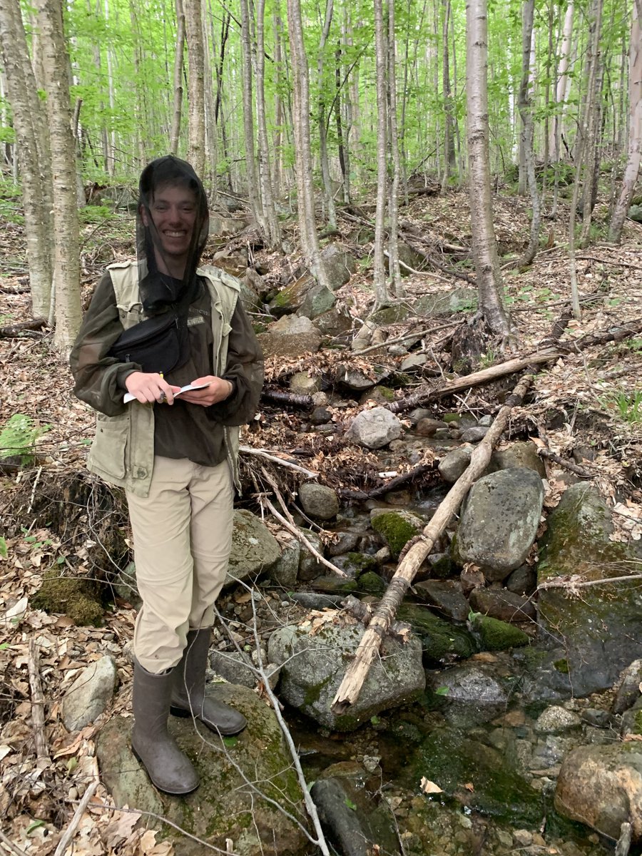Emily Bernhardt (@drbiogc) on Twitter photo #DukeBGC celebrates #JesseeSteele today. He just turned in an awesome undergraduate thesis based on his #nsfreu <a href="/HubbardBrookNH/">Hubbard Brook</a> summer of discovery. We expect great things are ahead for Jessee!! #DukeBGC celebrates #JesseeSteele today. He just turned in an awesome undergraduate thesis based on his #nsfreu <a href="/HubbardBrookNH/">Hubbard Brook</a> summer of discovery. We expect great things are ahead for Jessee!!