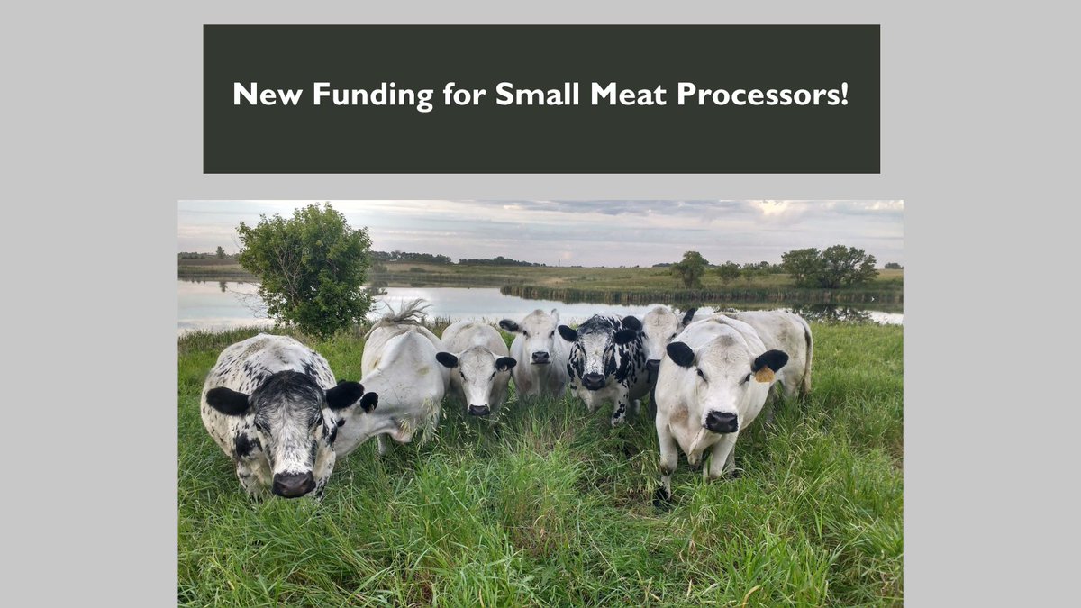 LSPnow's tweet image. The USDA announced the availability of up to $125 million through two new grant programs to support local #meatprocessing. Learn more: ams.usda.gov/press-release/…